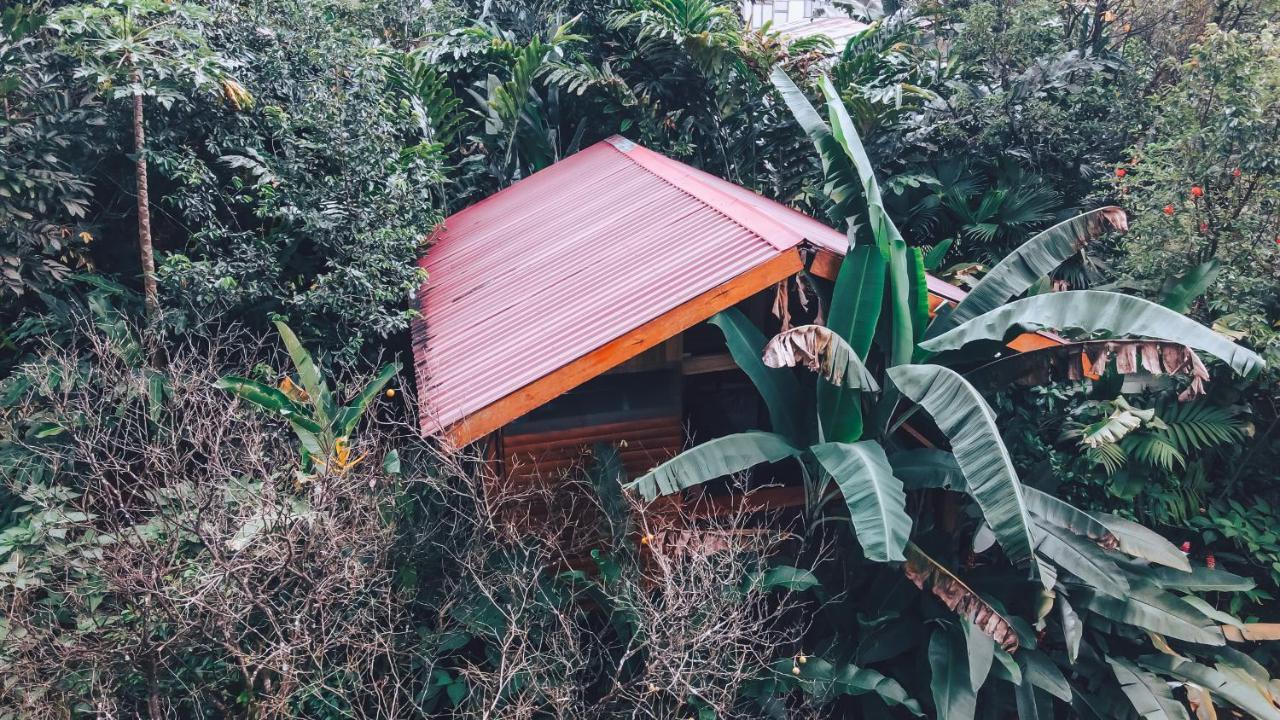 Arenal Rustic Lodge La Fortuna Exterior photo