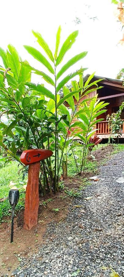 Arenal Rustic Lodge La Fortuna Exterior photo